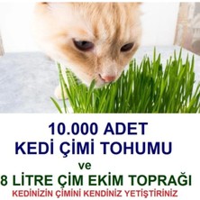 Tarımsal ve Hayvansal Ürünler 10.000 Adet Kedi Çimi Tohumu ve 8 Litre Kedi Çimi Ekim Torfu + Hediye Üzüm Fidanı Tohumları