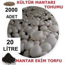 Tarımsal ve Hayvansal Ürünler 20 Litre Ekim Torfu ve 2000 Adet Kültür Mantarı Tohumu ile Eğitim Kılavuzu
