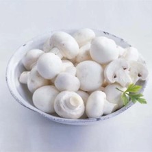 Tarımsal ve Hayvansal Ürünler 3000 Adet Kültür Mantarı Tohumu Ekim Poşeti ve Eğitim Yönergesi + Hediye Üzüm Fidanı Tohumu