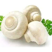 Tarımsal ve Hayvansal Ürünler 3000 Adet Beyaz Şapkalı Kültür Mantarı Tohumu + Kılavuz + Hediye Üzüm Fidanı Tohumu