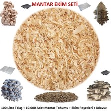 Tarımsal ve Hayvansal Ürünler Istiridye Mantarı Ekim Seti