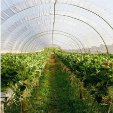 Tarımsal ve Hayvansal Ürünler 10 M2 Sera ( Kolay Kurulabilir ve Taşınabilir Sera)