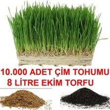 Tarımsal ve Hayvansal Ürünler Çim Tohumu ve Çim Ekim Torfu + Hediye Üzüm Fidanı Tohumları