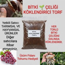Tarımsal ve Hayvansal Ürünler Bitki Çelik Köklendirici Özel Torf