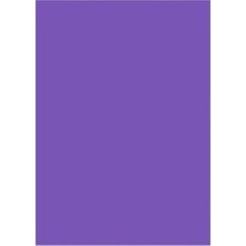  craft and arts fon kartonu 160 gram 50x70cm mor (100 lü paket)