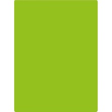  ıq color fon kartonu 160 gram orta yeşil 50x70cm 100 lü paket