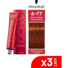 Igora Royal 6-77 Koyu Kumral Yoğun Bakır 60ML-3LÜ