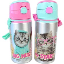 Dolphin Studio Pets Aluminyum Matara (Suluk) 500 Ml (Karışık Renk 1 Adet)