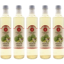 Raya Organik Atatürk Orman Çiftliği Organik Enginar Sirkesi 5’li Set