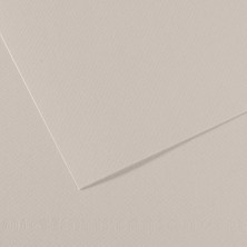 Canson Sh Canmt 50x65Cm 160 Gram Pastel Dokulu Fon Kartonu Grey 120 31032S094 (10 Lu Paket)