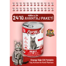 Cat food energy Sığır Etli Yetişkin Yaş Kedi Maması 400 G - 24 Adet