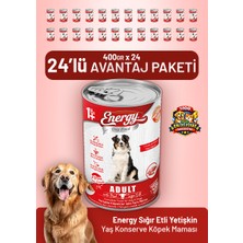Cat food energy Sığır Etli Yetişkin Yaş Köpek Maması 400 G - 24 Adet