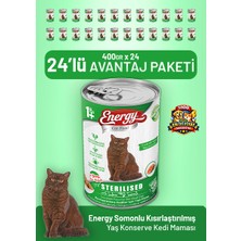 Cat food energy Somonlu Kısırlaştırılmış Yaş Kedi Maması 400 G - 24 Adet