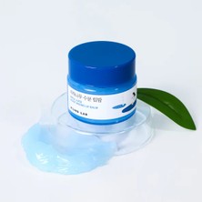 Round Lab - Birch Juice Moisturizing Lip Balm