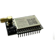 EGN Elektronik STR08RSH8 868MHZ/+20DBM Rf Mcu Lora Transceiver Modülü (STM32WLE5X,SAW Filtre,sma Rf Konnektör)