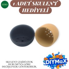 Dıymax Eero Planter Saksı 8x8 cm Dekoratif Modern Minimal Sukulent Saksısı Kaktüs Saksı