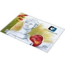  alex schoeller resim defteri spiralli 35x50cm 120 gram 40 yaprak alx-0787