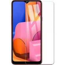 ProPice Prop Samsung Uyumlu Galaxy A20S Ekran Koruyucu 9h