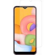 ProPice Prop Samsung Uyumlu Galaxy A01 Ekran Koruyucu 9h