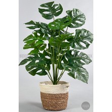Biçiçek Yapay Monstera Deve Tabanı 65 cm Hasır Saksıda Model1