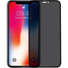 ProPice Prop Apple Uyumlu   iPhone 12 Hayalet Ekran Koruyucu Tam Kaplayan Gizli Privacy
