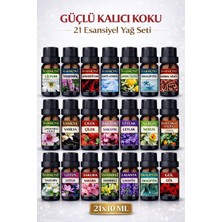 Harmoni Eko Set Esansiyel Uçucu Yağ Buhurdanlık Yağı Difüzör Esansı Aromaterapi  Koku Yağı 21x10 ml