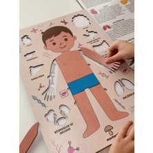 Montessori Çocuk Anatomi Puzzle | Insan Vücudu Organları Eğitici Yapboz 3+ Yaş