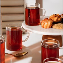 Gül Home 6 Adet Şeffaf Borosilikat Isıya Dayanıklı Cam Kupa Seti - 6'lı Kahve ve Çay Bardağı