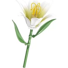 Gray Line Gry P655053  Zambak 41 Parça Block Oyuncak Nel1