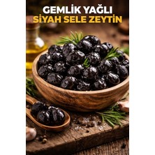 Reyhani Hatay Mandıra Trilye (Gemlik) Yağlı Sele Xl