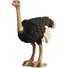 Tufy Toys Devekuşu Figürü-Doğa Temalı Model Hayvan Oyuncak