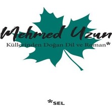 Bigelal Küllerinden Doğan Dil ve Roman