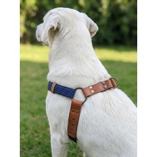 Balkonda Köpek Göğüs Tasması Büyük & Çok Büyük Irk Ayarlamalı Kolon Kordon ve Nubuk Deri Lacivert & Kahverengi