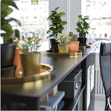 SÜS Glattis Tepsi, Pirinç Renk