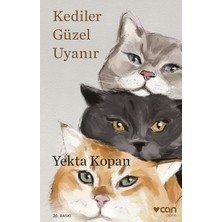 SÜS Kediler Güzel Uyanır