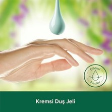 SÜS Superfood Acai Üzümü & Yulaf Duş Jeli 500 ml