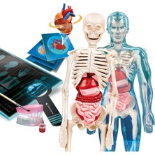 NW NessiWorld Süper Anatomi