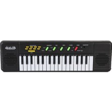 NW NessiWorld SD-331 By Şarjlı Mikrofonlu Org