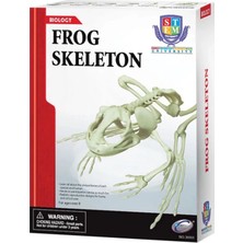 NW NessiWorld Kurbağa Iskeleti Bilim Seti