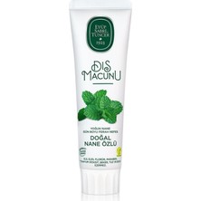 NW NessiWorld Doğal Diş Macunu 90 gr Nane Özlü