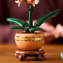 NW NessiWorld Botanicals Mini Orkide 10343