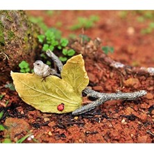 SÜS Top Minyatür Bahçesi ve Teraryum Yapraklarda Küçük Kuş ve Uğur Böceği, Mini