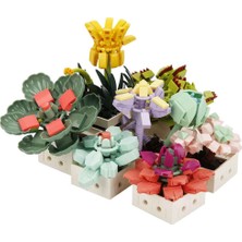 NW NessiWorld S00004685 Blx Flower Set Sculent 971 Prç -Sun