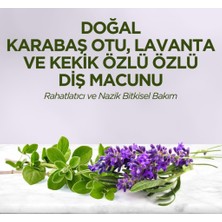 NW NessiWorld Doğal Diş Macunu 90 gr Karabaş Otu & Lavanta ve Kekik Özlü
