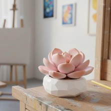 NW NessiWorld P655058 Monroe Sukulent Model 86 Parça Block Oyuncak