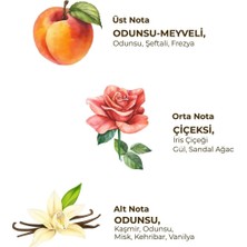 NW NessiWorld Kadın Roll On Deodorant 75 ml Soft