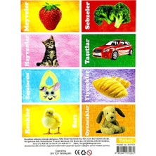 NW NessiWorld Ilk 50 Sözcük Eğitici Flash Kart Oyunu