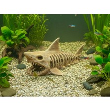 Hayke Köpekbalığı Fosili Akvaryum Dekoru Beyaz Akvaryum Süsü Doğal Görünümlü Balık Saklanma Alanı Akvaryum Aksesuarı