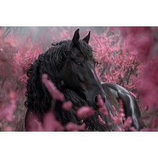 Aden Dijital Dekoratif