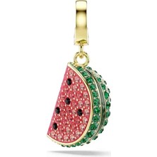 Swarovski SWR5743134 Kadın Charm Bileklik Ucu